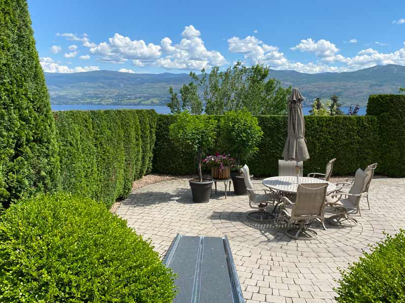 Cedar Hedge Trimming & Pruning Professionals Kelowna
