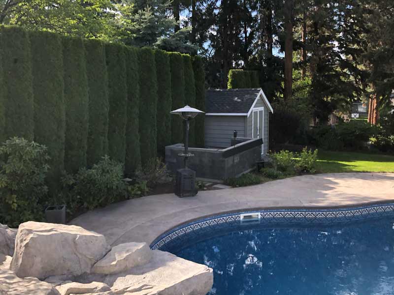Cedar Hedge Trimming & Pruning Professionals Kelowna