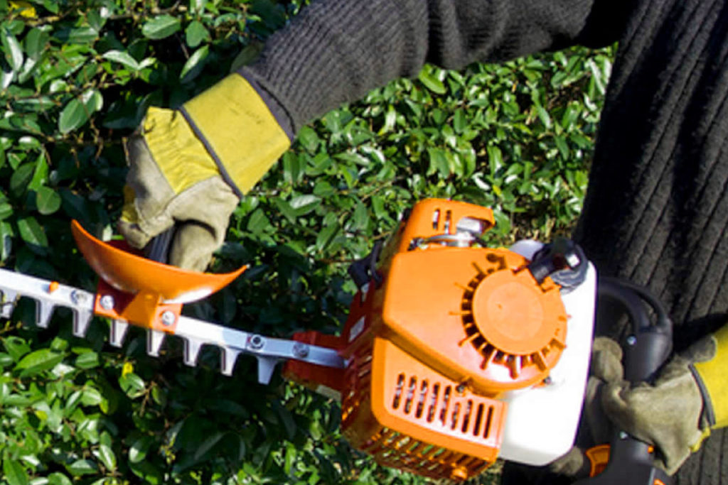 Cedar Hedge Trimming Kelowna, BC Yard Maintenance Blog