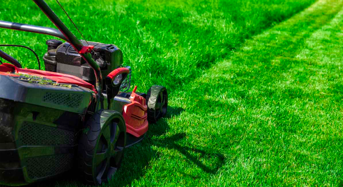 Healthy lawn in Kelowna, maintained with seasonal yard care tips