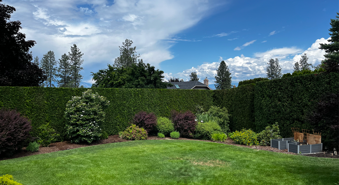 Strata property maintenance in Kelowna, featuring lawn care, tree pruning, and seasonal cleanups to prevent repairs and improve property value.