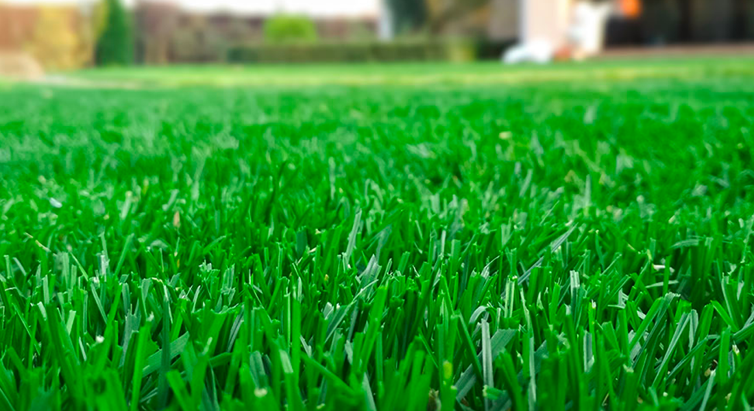 Healthy lawn in Kelowna after proper mowing, watering, and soil care
